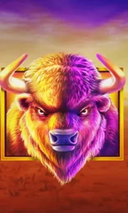 Buffalo King