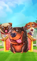 The Dog House