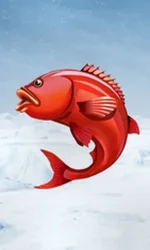 Ice Fishing