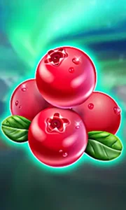Winterberries